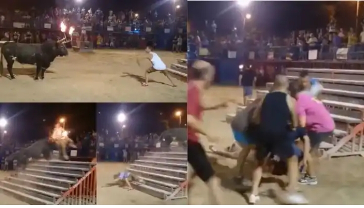 “He kills himself” – Video trends as man loses his life following a contest with a bull (Watch)