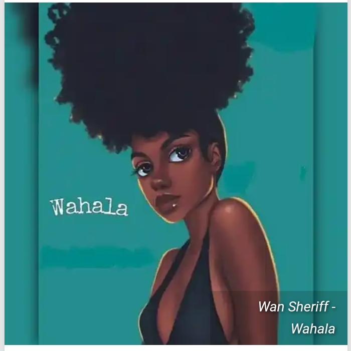 (MUSIC ) : Wan Sheriff – Wahala